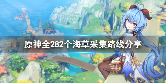 原神海草哪里多 原神 海