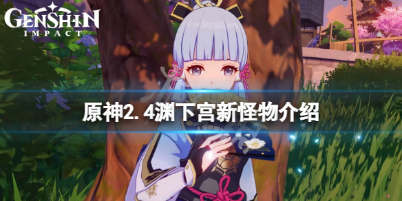 原神2.4渊下宫新怪物有什么（渊下宫钥匙）