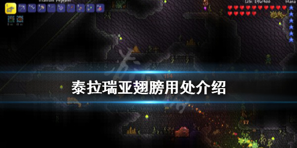 泰拉瑞亚翅膀有什么用 泰拉瑞亚翅膀有掉落伤害吗
