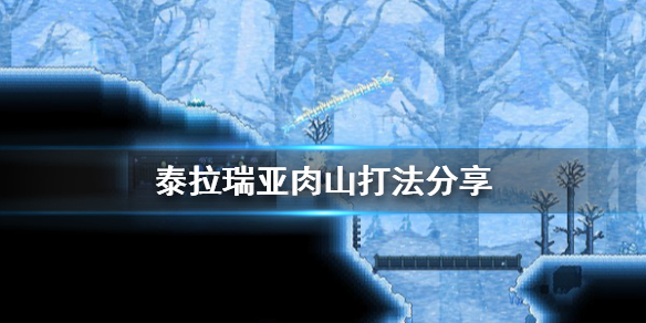 泰拉瑞亚肉山怎么打（泰拉瑞亚肉山怎么打最好打）