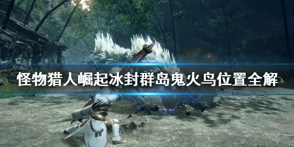 怪物猎人崛起冰封群岛鬼火鸟在哪（怪物猎人rise鬼火鸟）