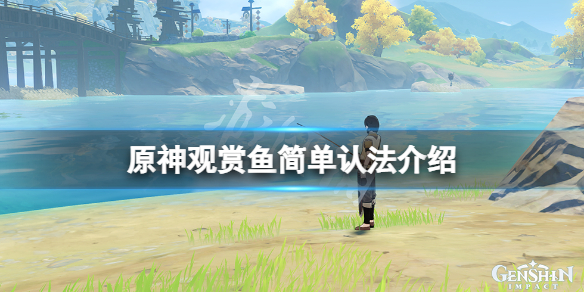 原神观赏鱼怎么判断（原神观赏鱼在哪看）