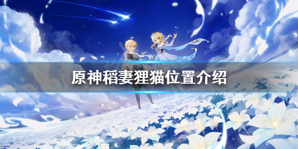 原神稻妻狸猫在哪里（稻妻狸猫有什么用）