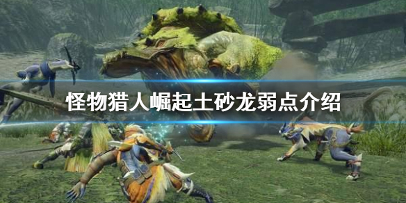 怪物猎人崛起土砂龙弱什么 怪物猎人崛起土砂龙套