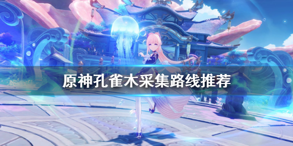 原神孔雀木哪里最多（原神孔雀秘宝在哪）