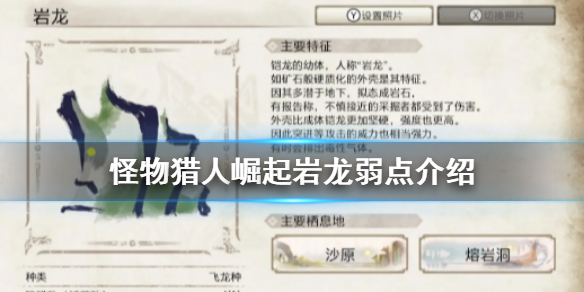怪物猎人崛起岩龙弱点是什么 崛起 岩龙 弱点