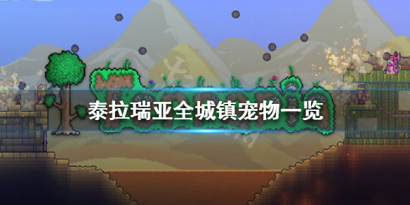 泰拉瑞亚城镇宠物有几种（泰拉瑞亚城镇宠物有什么用）