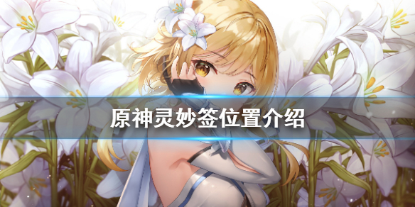 原神灵妙签在哪（原神灵妙之局在哪）