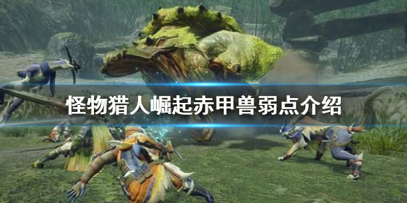 怪物猎人崛起赤甲兽弱点是什么 怪物猎人崛起 赤甲兽弱点