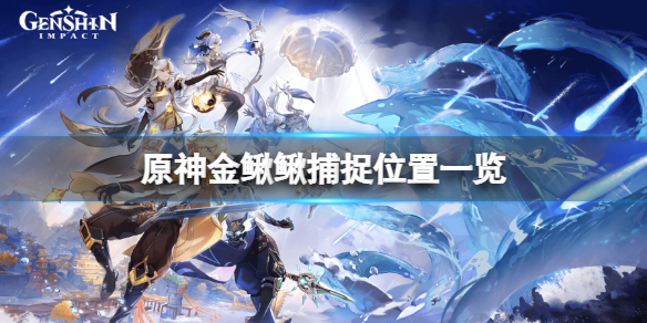 原神金鳅鳅在哪抓 原神鳅鳅有什么用