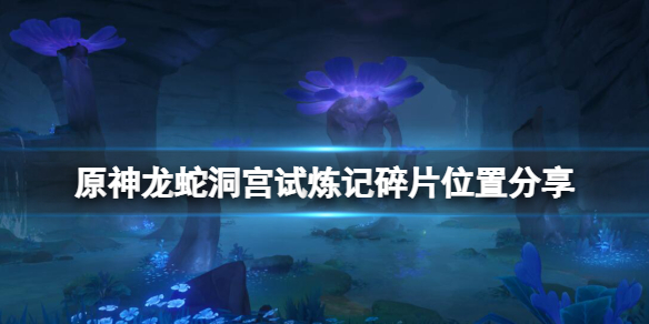 原神龙蛇洞宫试炼记碎片位置分享
