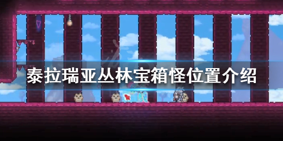 泰拉瑞亚丛林宝箱怪在哪 泰拉瑞亚丛林宝箱怪在哪里