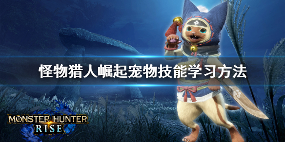 怪物猎人崛起宠物技能怎么学（怪物猎人崛起宠物技能怎么学的）