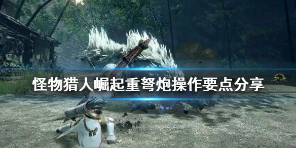 怪物猎人崛起重弩炮操作要点是什么 怪物猎人崛起重弩炮怎么玩