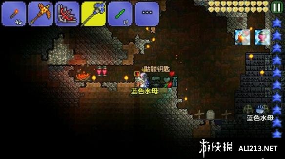 《泰拉瑞亚》骗伤介绍及原理分析 什么事骗伤