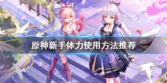 原神新手体力怎么用（原神萌新体力）