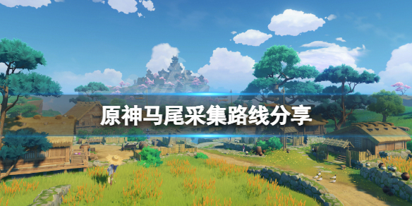 原神马尾在哪采集（原神马尾在哪里采集）