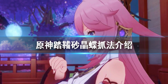 原神踏鞴砂晶蝶怎么抓