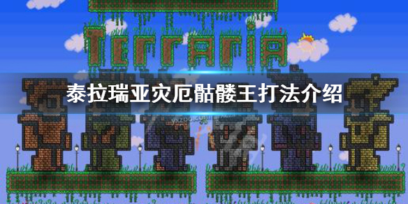 泰拉瑞亚灾厄骷髅王怎么打（泰拉瑞亚灾厄骷髅王怎么召唤）