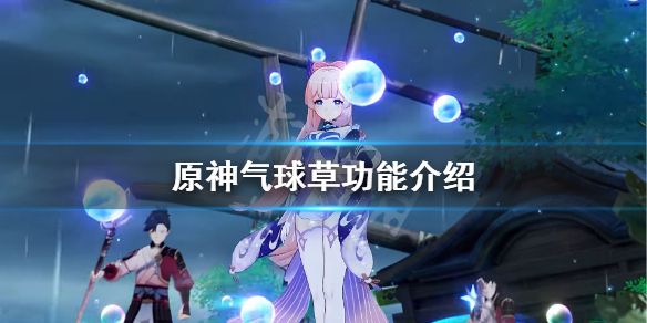 原神气球草有什么用（原神气球草多久刷新）