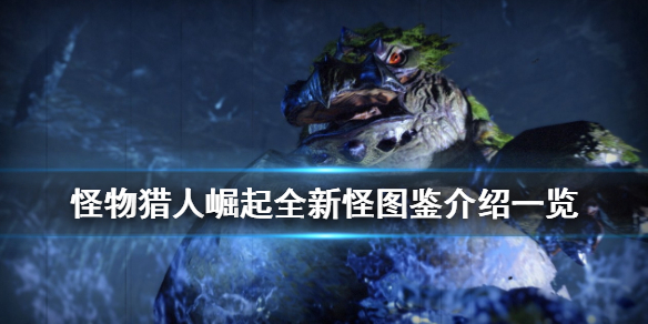 怪物猎人rise新怪有哪些（怪物猎人 rise怪物图鉴）