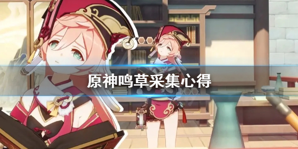 原神鸣草怎么采集（原神鸣草采集位置图）