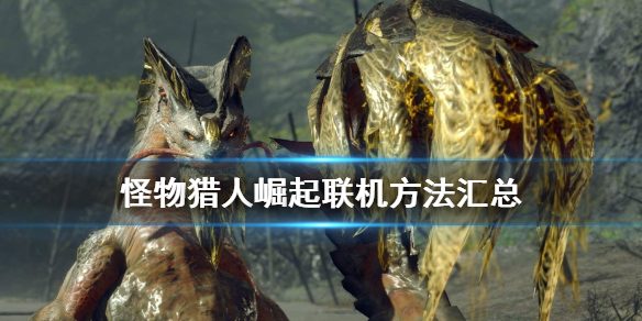 怪物猎人崛起怎么联机（怪物猎人崛起怎么联机做任务steam）