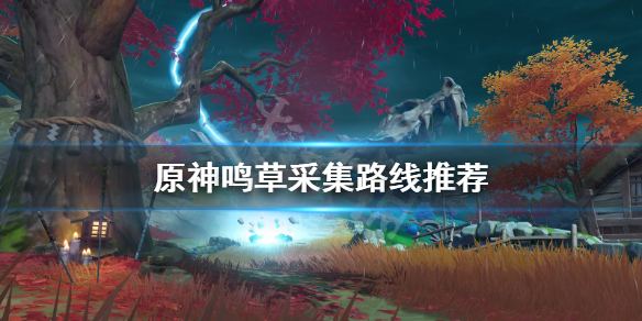 原神鸣草在哪采集（原神鸣草在哪里采摘）