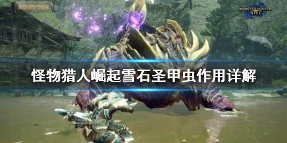 怪物猎人崛起雪石圣甲虫有什么用 怪物猎人崛起 雪光金属怎么获得