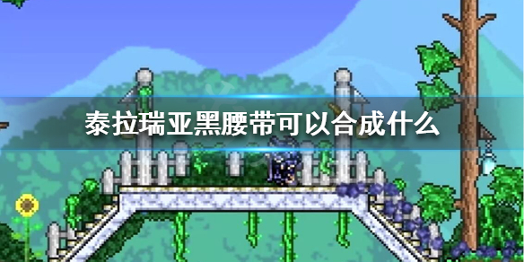 泰拉瑞亚黑腰带可以合成什么 泰拉瑞亚黑腰带能合成什么