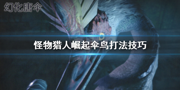 怪物猎人崛起伞鸟怎么打（怪物猎人崛起伞鸟怎么打视频）