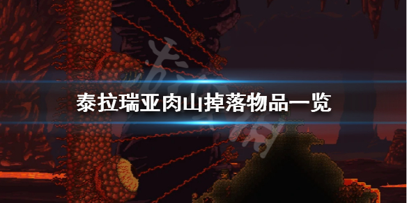 泰拉瑞亚肉山会掉什么 泰拉瑞亚肉山掉落物品一览