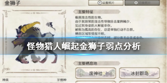 怪物猎人崛起金狮子好打吗（怪物猎人崛起金狮子好打吗知乎）