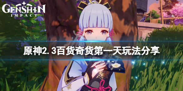 原神2.3百货奇货第一天怎么玩（原神百货奇货任务怎么做）