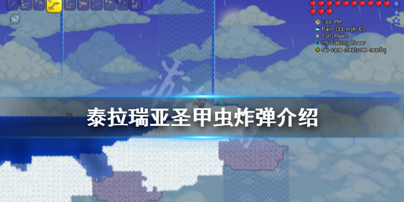 泰拉瑞亚1.4圣甲虫炸弹好用吗（泰拉瑞亚圣甲虫爆破弹）