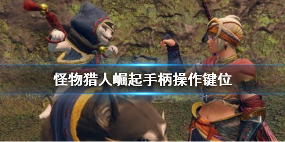 怪物猎人崛起手柄怎么操作（怪物猎人崛起手柄操作设置）