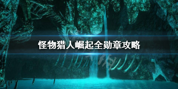 怪物猎人崛起全勋章怎么收集（怪物猎人崛起 全勋章）