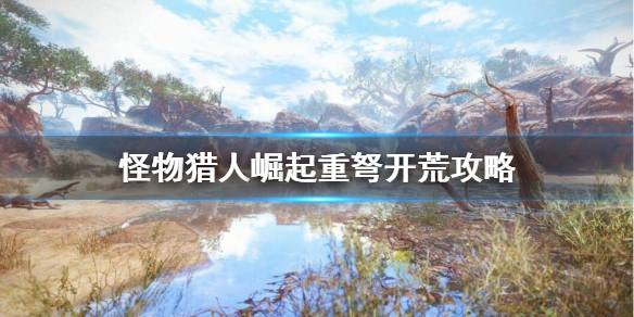 怪物猎人崛起重弩怎么配装（怪物猎人崛起重弩配装和推荐）