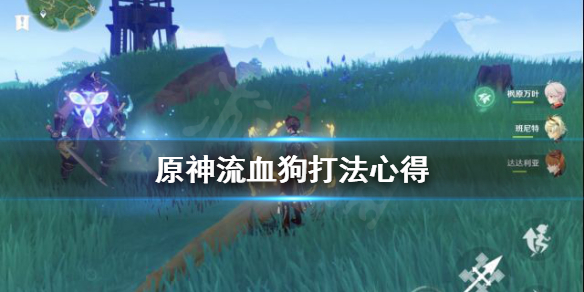 原神流血狗怎么打（原神流血狗怎么打快）