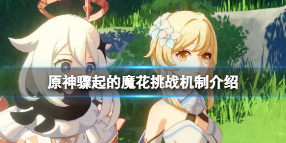 原神骤起的魔花挑战怎么玩