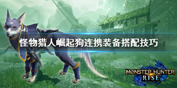 怪物猎人崛起狗连携怎么搭配 怪物猎人崛起 狗
