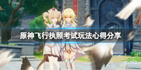 原神飞行执照考试有什么技巧（原神飞行执照考核）