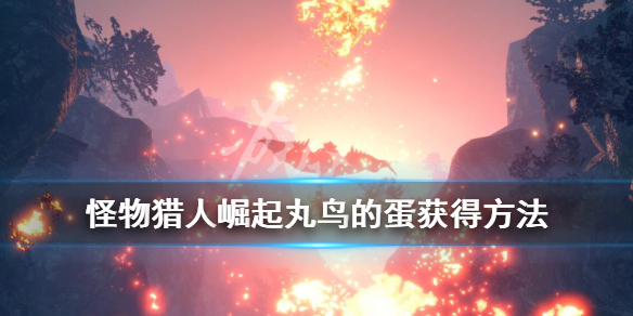 怪物猎人崛起丸鸟的蛋怎么获得（怪物猎人崛起丸鸟锤配装）