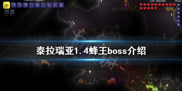 泰拉瑞亚1.4蜂王厉害吗 泰拉瑞亚1.4蜂王攻略