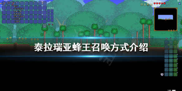 泰拉瑞亚蜂王好打吗（泰拉瑞亚蜂王好打吗怎么打）