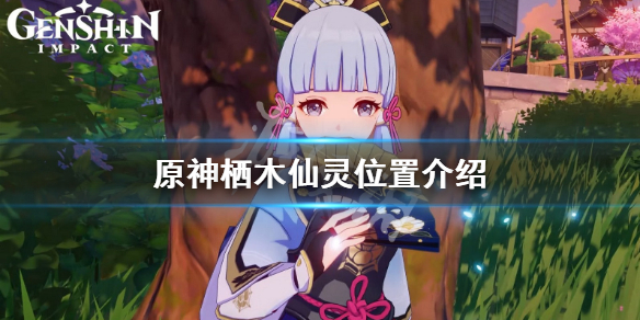 原神栖木仙灵在哪 供奉栖木仙灵位置