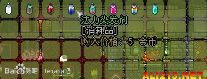 《泰拉瑞亚》理发师详细图文介绍