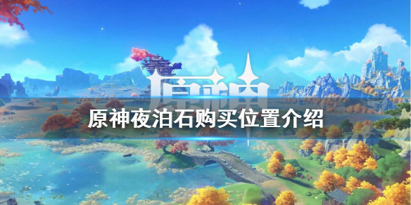 原神夜泊石在哪买（原神夜泊石在哪买,卖的人叫什么）