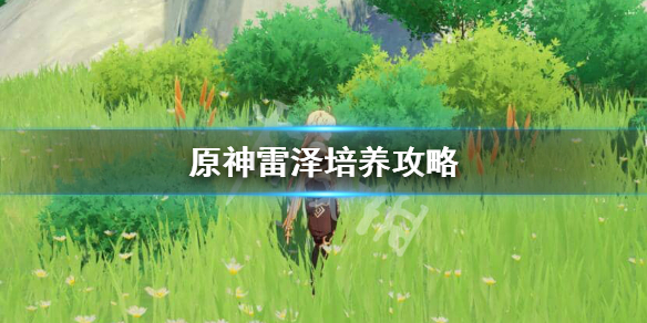 原神怎么培养雷泽 原神培养雷泽还是莉莎