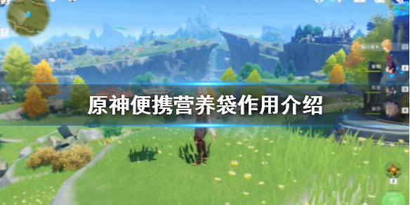 原神便携营养袋有什么用（原神便携营养袋需要什么材料）